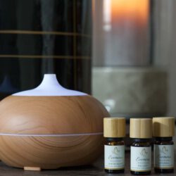 Lavendel Öl - Beruhigendes 100% natürliches ätherisches Öl für Entspannung, Evomina