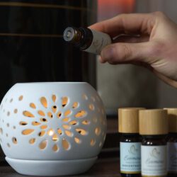 Pfefferminze Öl - Erfrischendes ätherisches Öl für Vitalität, Evomina
