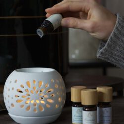 Fichte Öl – Die Kraft des Waldes für Körper & Geist,  100% naturreines ätherisches