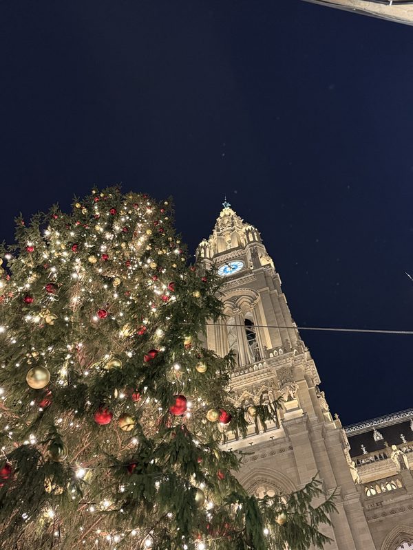 Wiener Christkindlmarkt am Rathausplatz mit Evomina Hütte